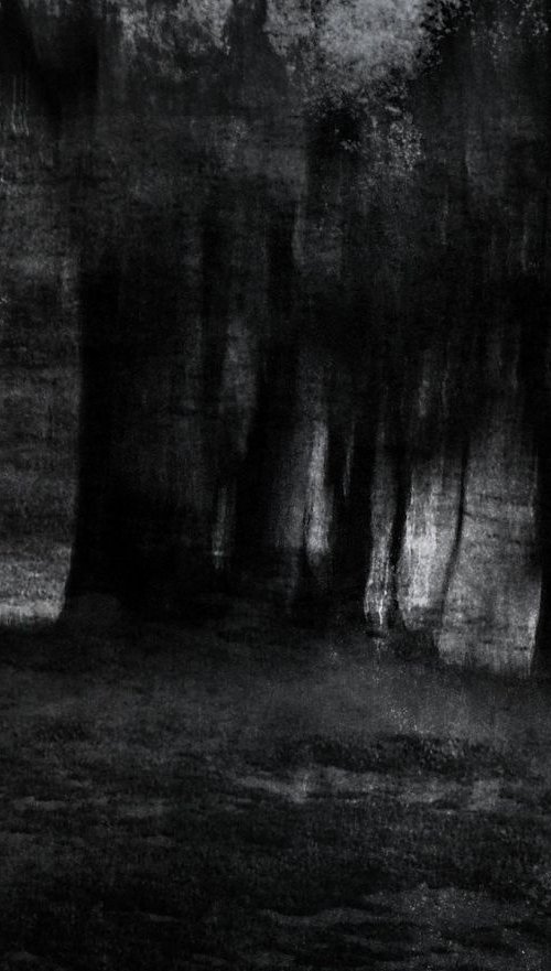 THE BLACK FOREST..... by Philippe berthier