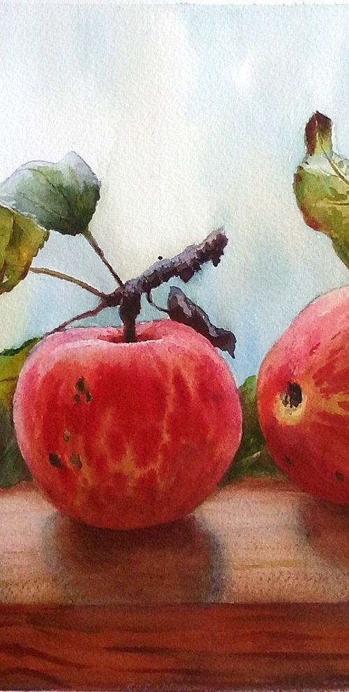 Summer apples by Yulia Krasnov