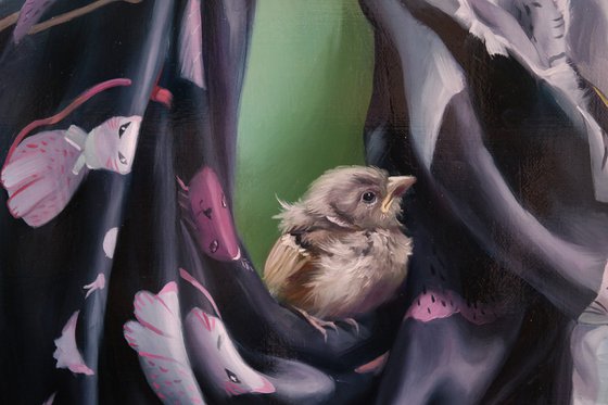 "Shelter"