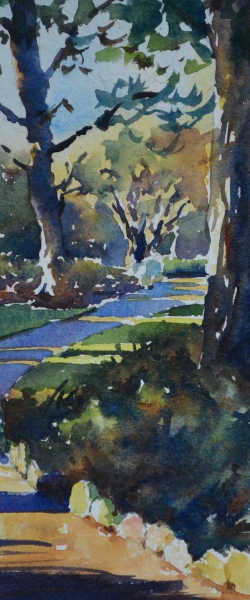Robert's Park by Denise Mitchell