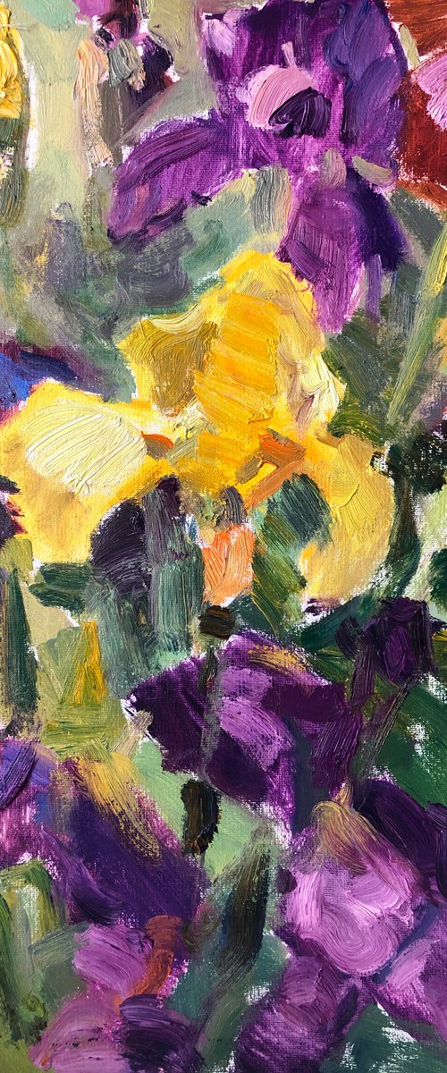 Yellow iris flower by Nataliia Nosyk