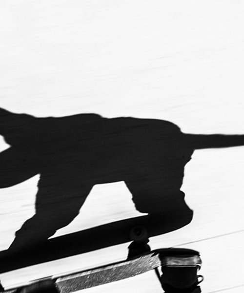 SKATEBOARDER IN SILHOUETTE by Andrew Lever