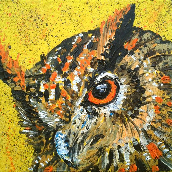 "'Mr.Owl""