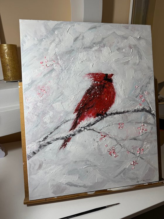 Red Cardinal