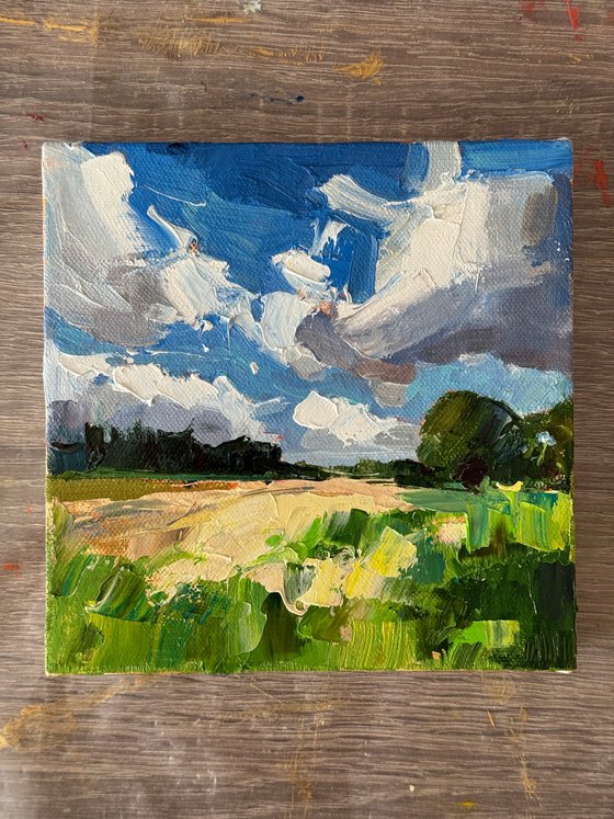 Fields Beneath the Wind