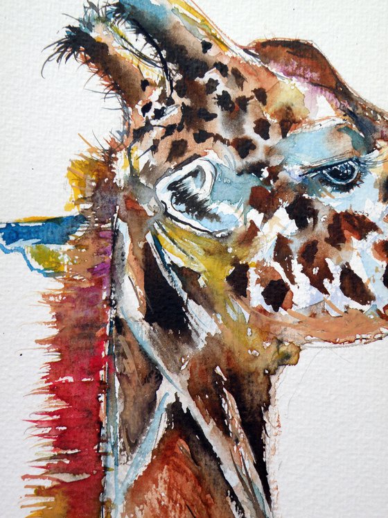 Giraffe