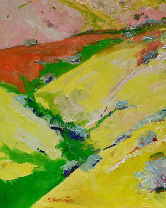 Yellow Blooming Hills. Spring in California