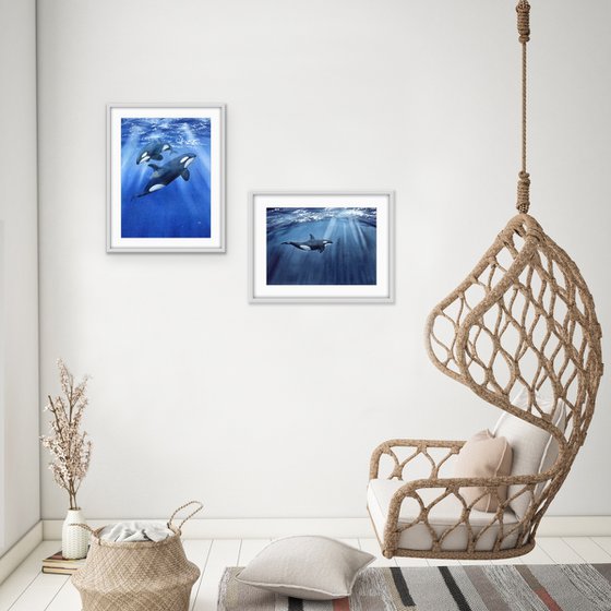 Set of two paintings. Killer whales underwater. Original watercolor artworks.