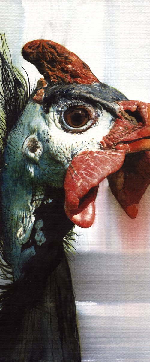 BIRD CCXXXII - Helmet Guinea Fowl by REME Jr.