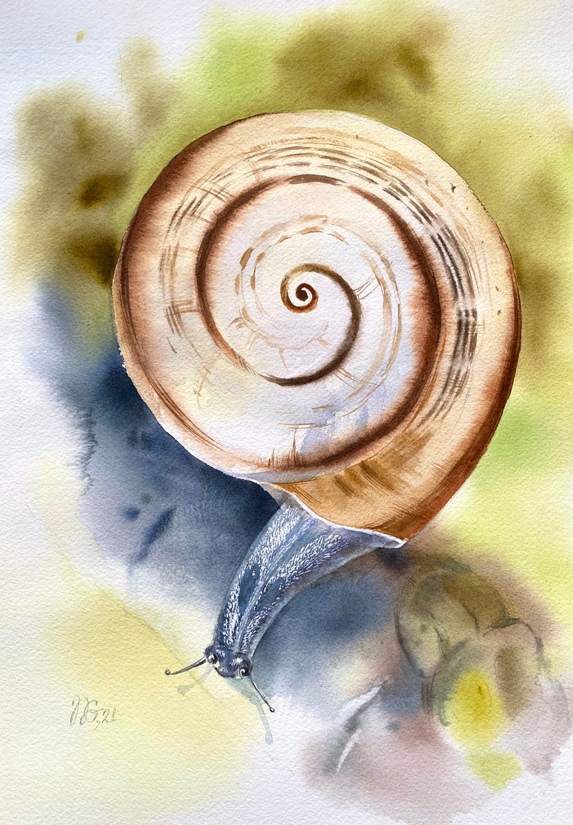 The snail by Natalia Galnbek