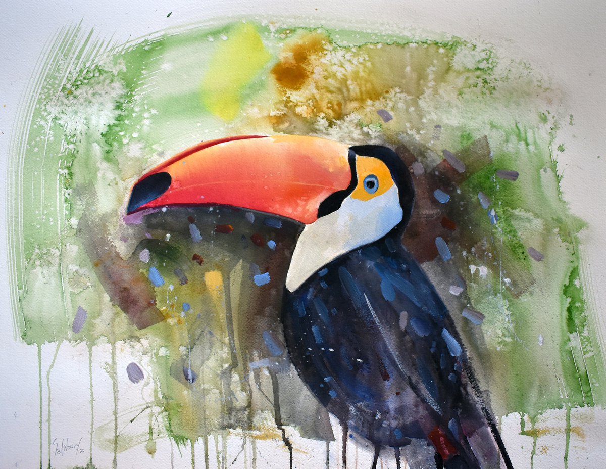 Presenting the great Toco Toucan by Trevor Salisbury