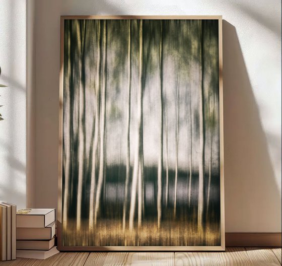 In the birch stillness