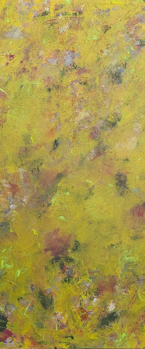 Garden in the Brain by Marian Gorin