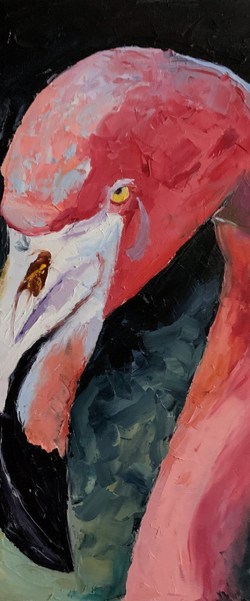 Flamingo. by Vita Schagen