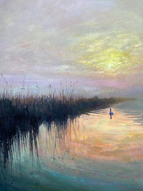Swan Sunrise III by Simon Jones