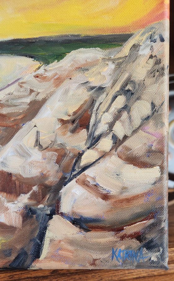 Sky Dance on the Little Missouri