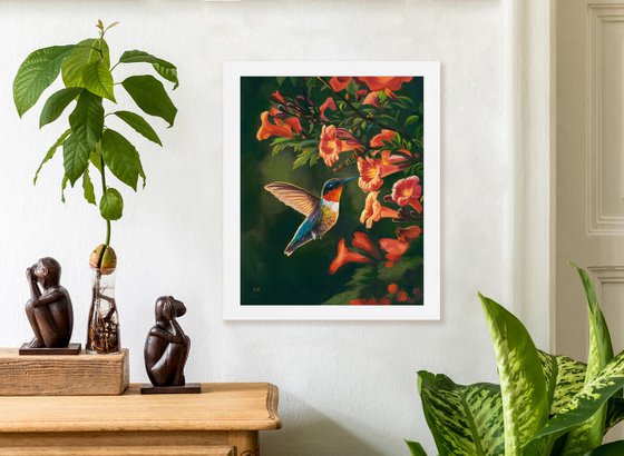 Hummingbird with trumpet vine