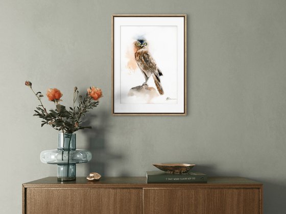 Young Owl