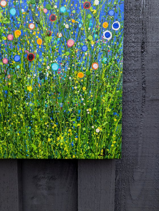 Meadow Radiance #3