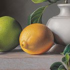 Lemons And Limes