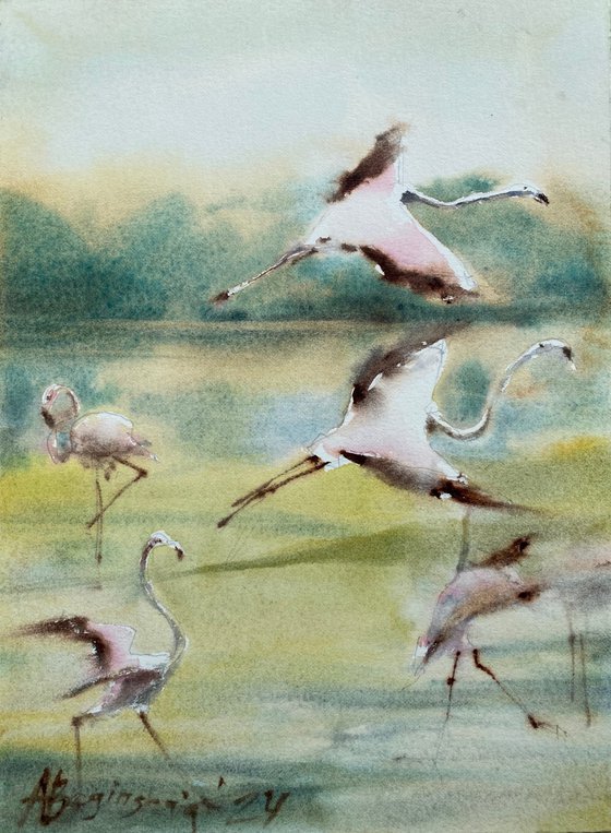 Flamingo 10