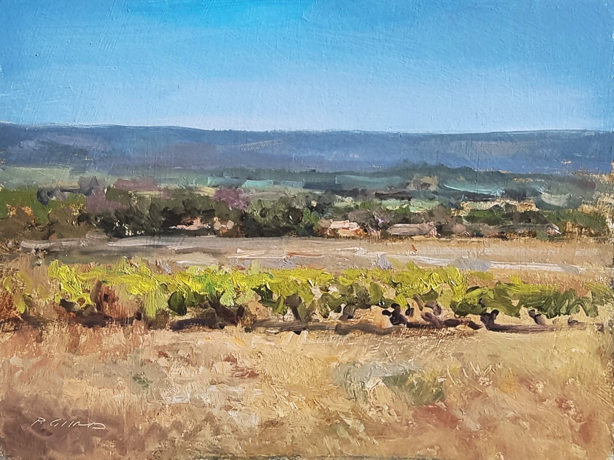 Vineyards near Goult by Pascal Giroud