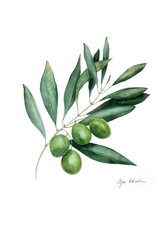 Green Olives