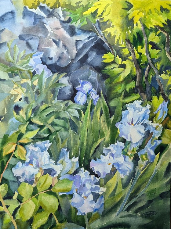 Front garden