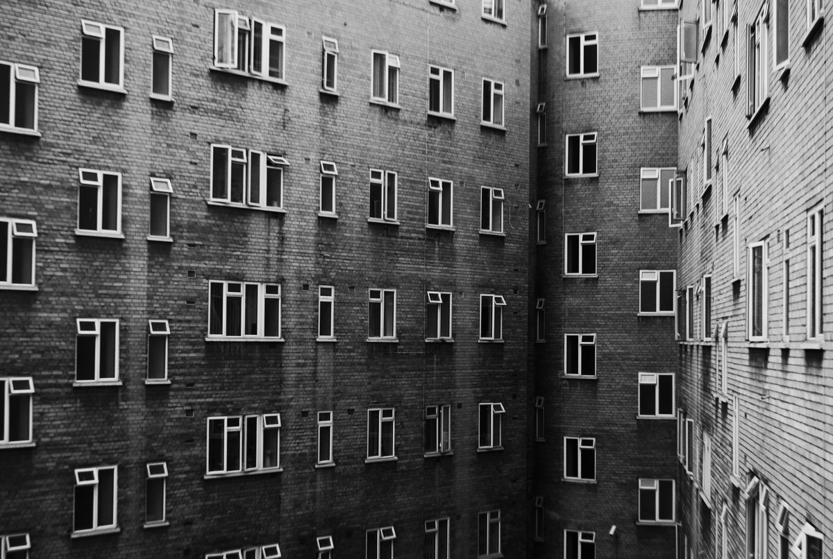 Geometric Botanical Photograph By Charles Brabin, 17 X 12, Windows Ii, Original Artwork