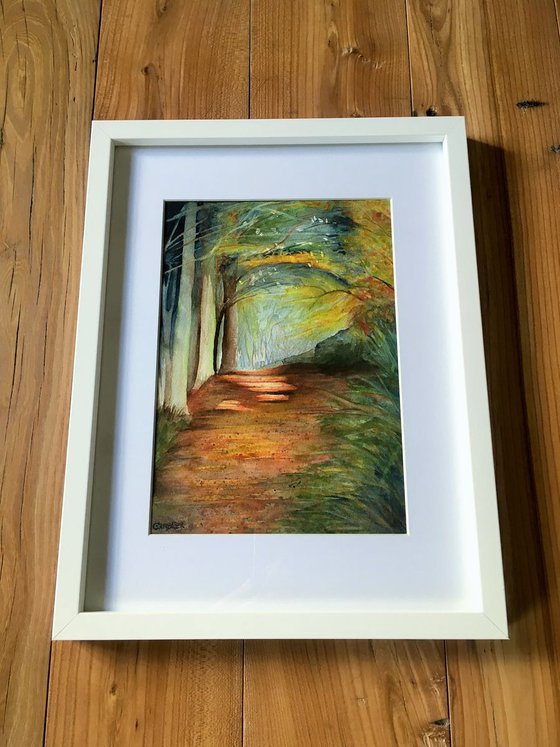 Autumn Woodland Walk - Framed Watercolour