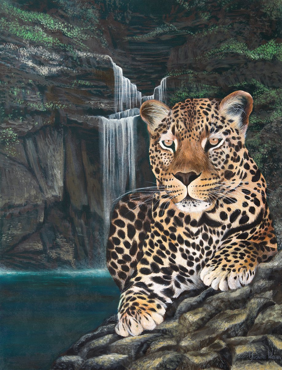 Leopard by Yvonne B Webb
