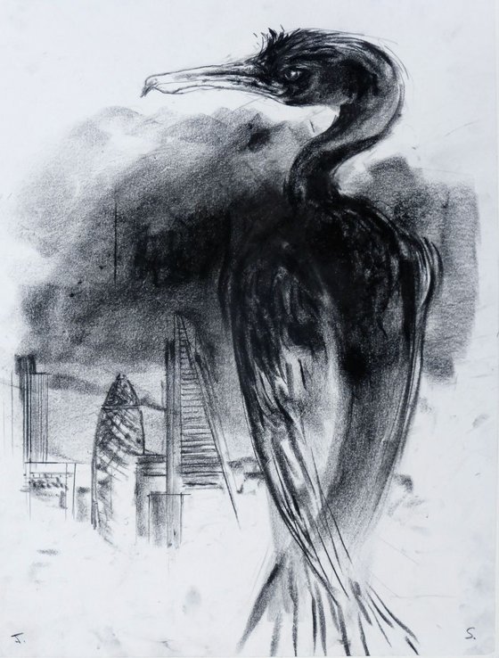 The City and The Cormorant