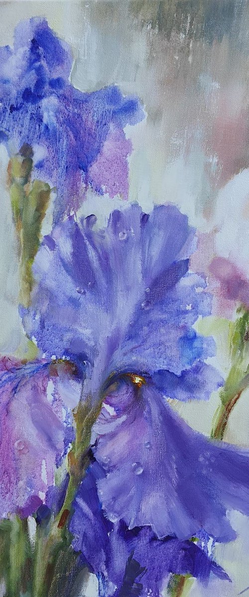 Inspiration by Olha Laptieva