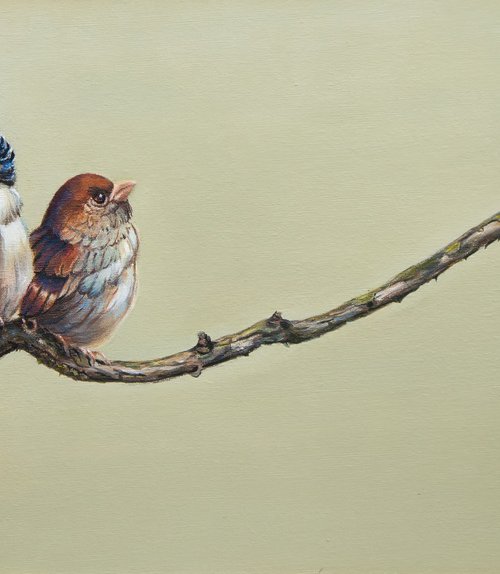 Two sparrows by Norma Beatriz Zaro