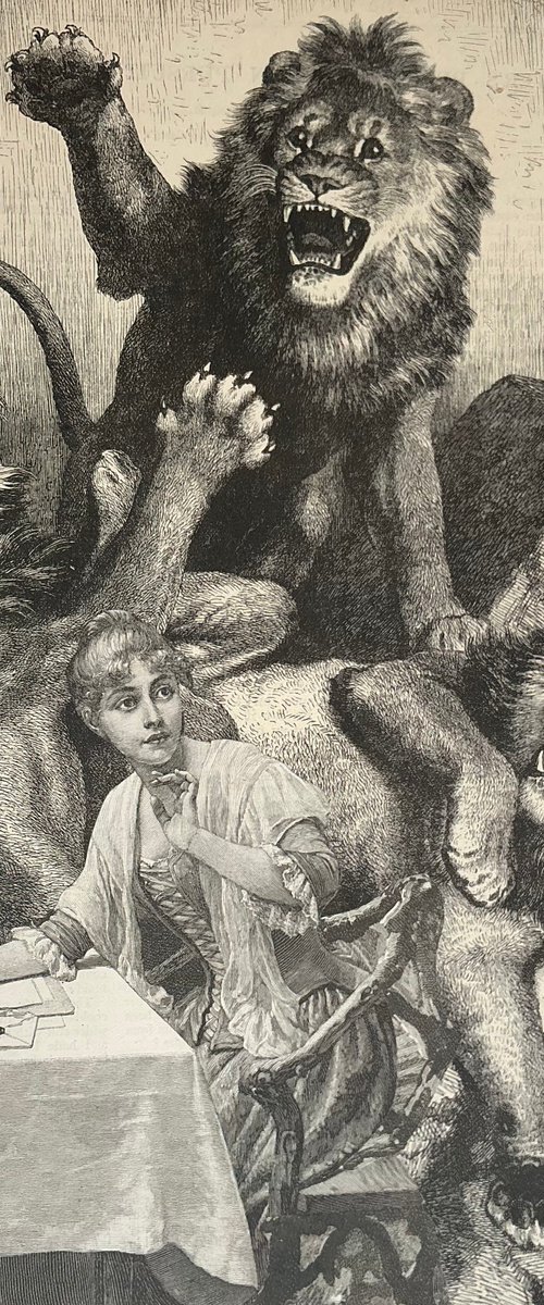 Dreams or three lions by Tudor Evans