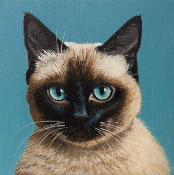 "Siamese Stare — Hyperrealistic Cat Portrait"