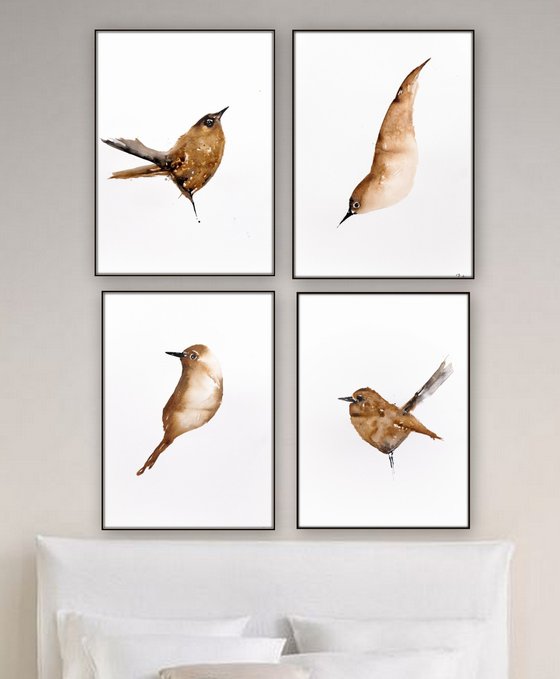 Birds