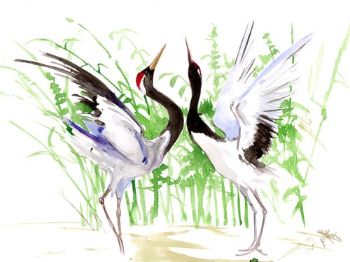 Japanese Crane Birds watercolor artwork, Dancing Cranes by Suren Nersisyan