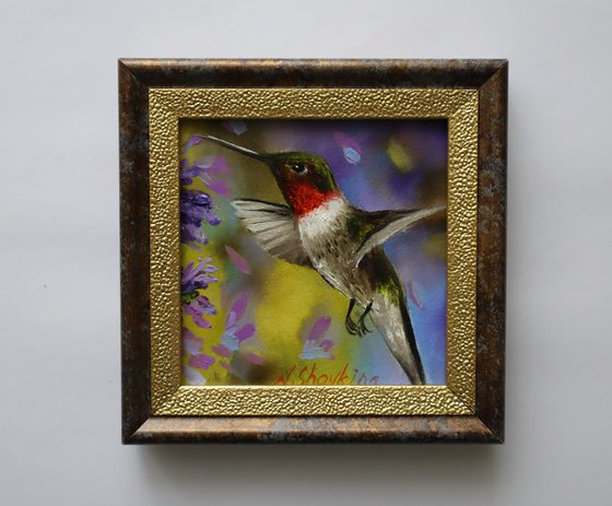 Vibrant Hummingbird Miniature