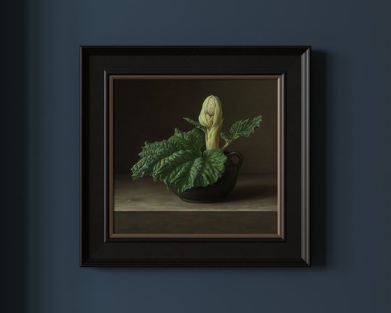 Rhubarb