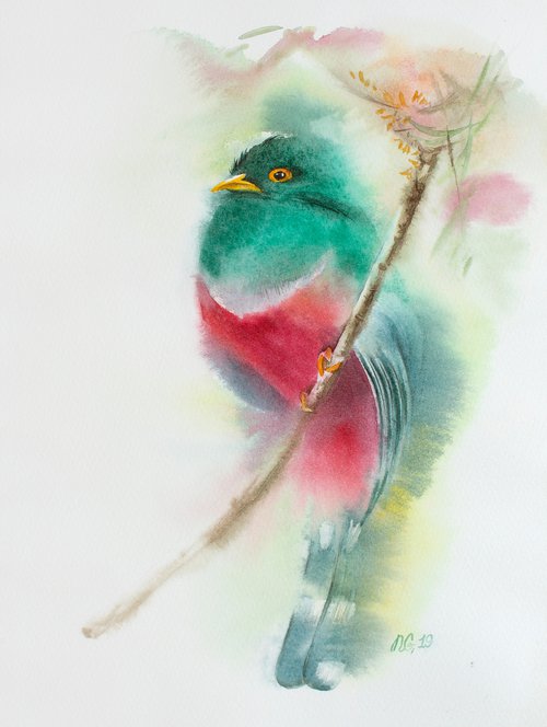 Exotic bird by Natalia Galnbek