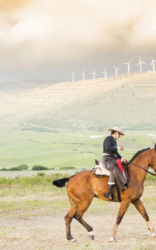 SPANISH HORSEMAN 3. by Andrew Lever