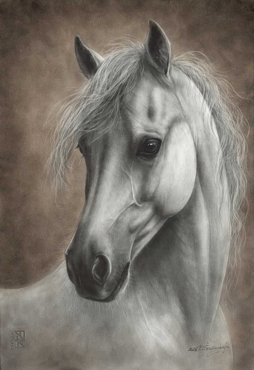 Photorealistic Oil Painting , Silent Soul By Danguole Serstinskaja, 13 X 19, Artwork For Sale On Artfinder
