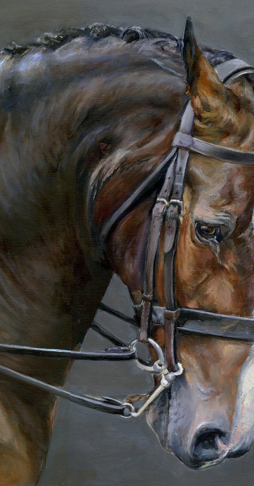 Horse Head portrait bay horse by Una Hurst