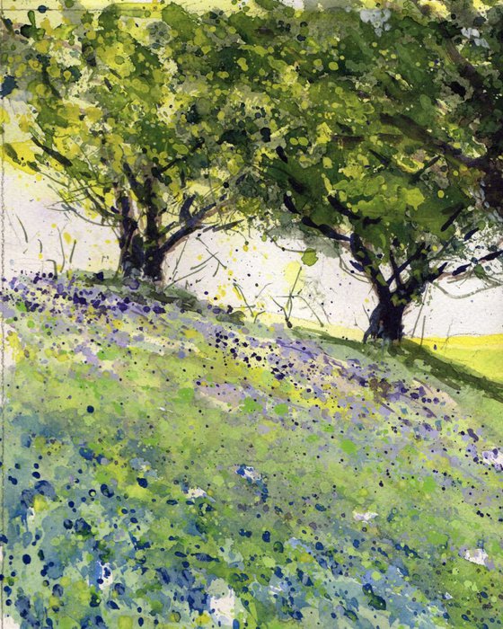 Bluebells 5