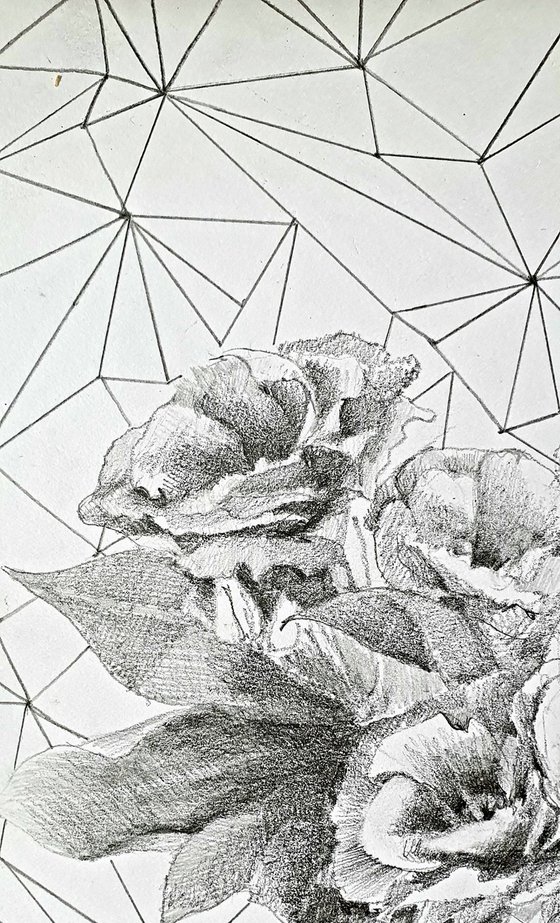 Floral geometry drawing.