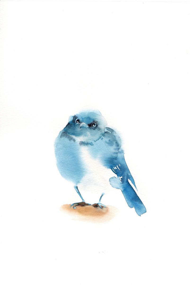 Blue Bird by Sophie Rodionov
