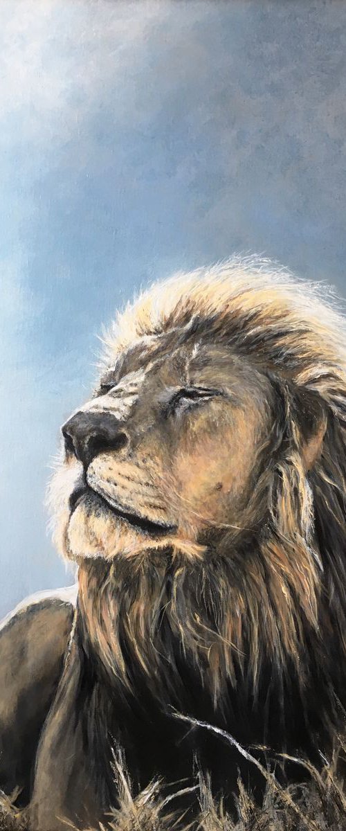 Lion Sunning by Paul Hardern