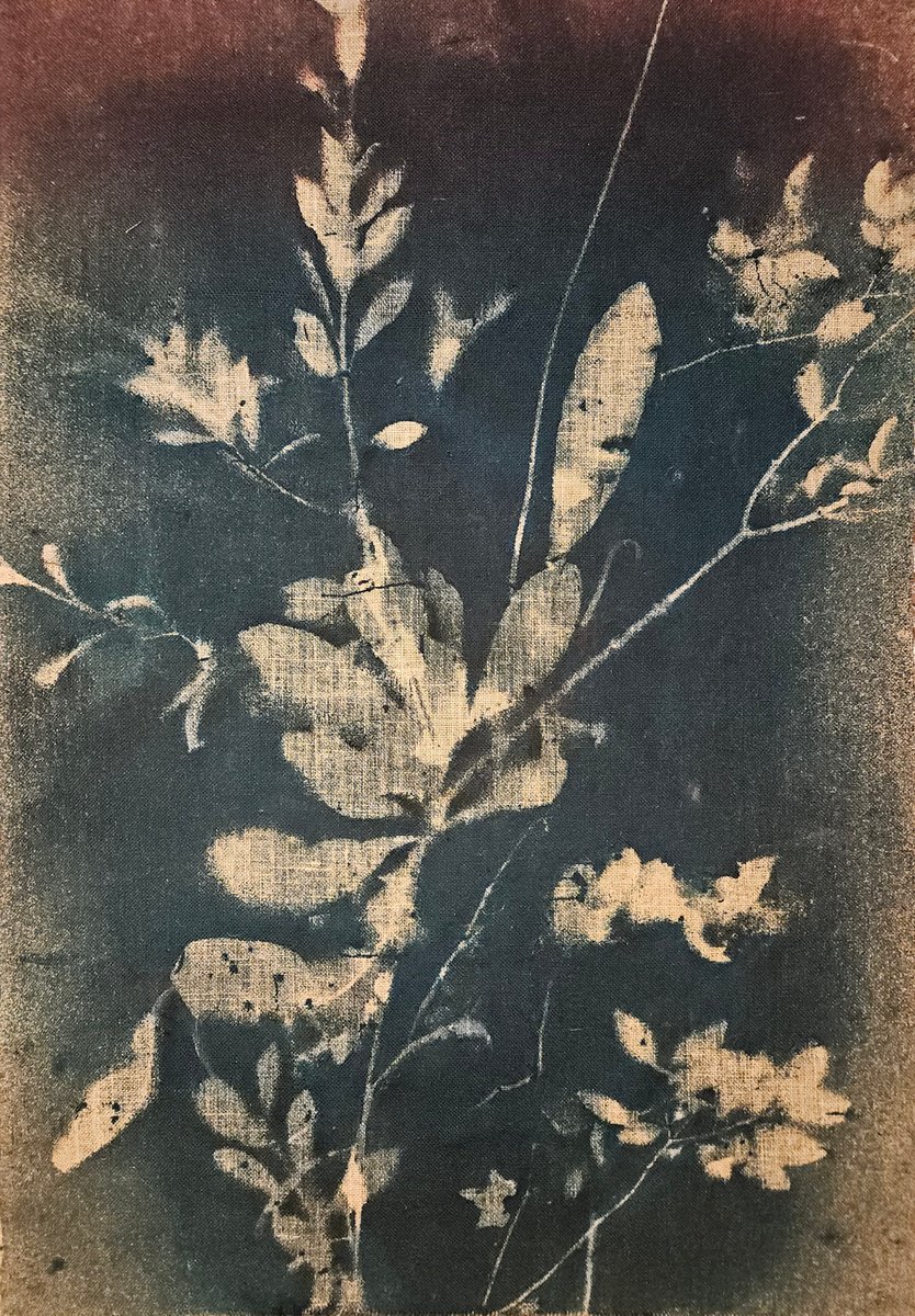 Surrealistic Botanical Acrylic Painting By Stefano Mazzolini, 39 X 59", Rf6364 Double-Sided, Original Artwork