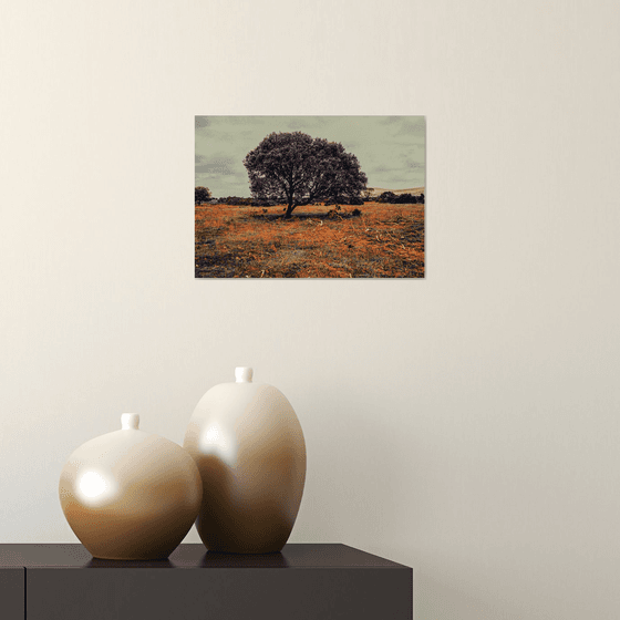 Lonely Tree - A4